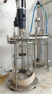 Módulo Fermentador-Bio-Reactor BIO FLO 110